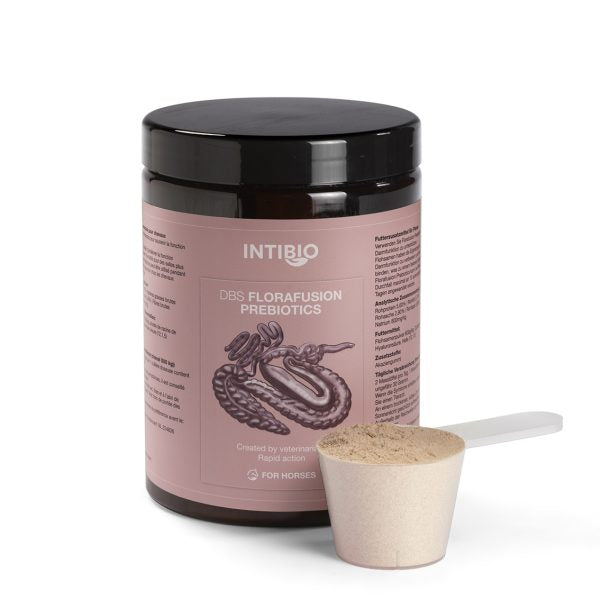 DBS Florafusion Prebiotikum 600 g