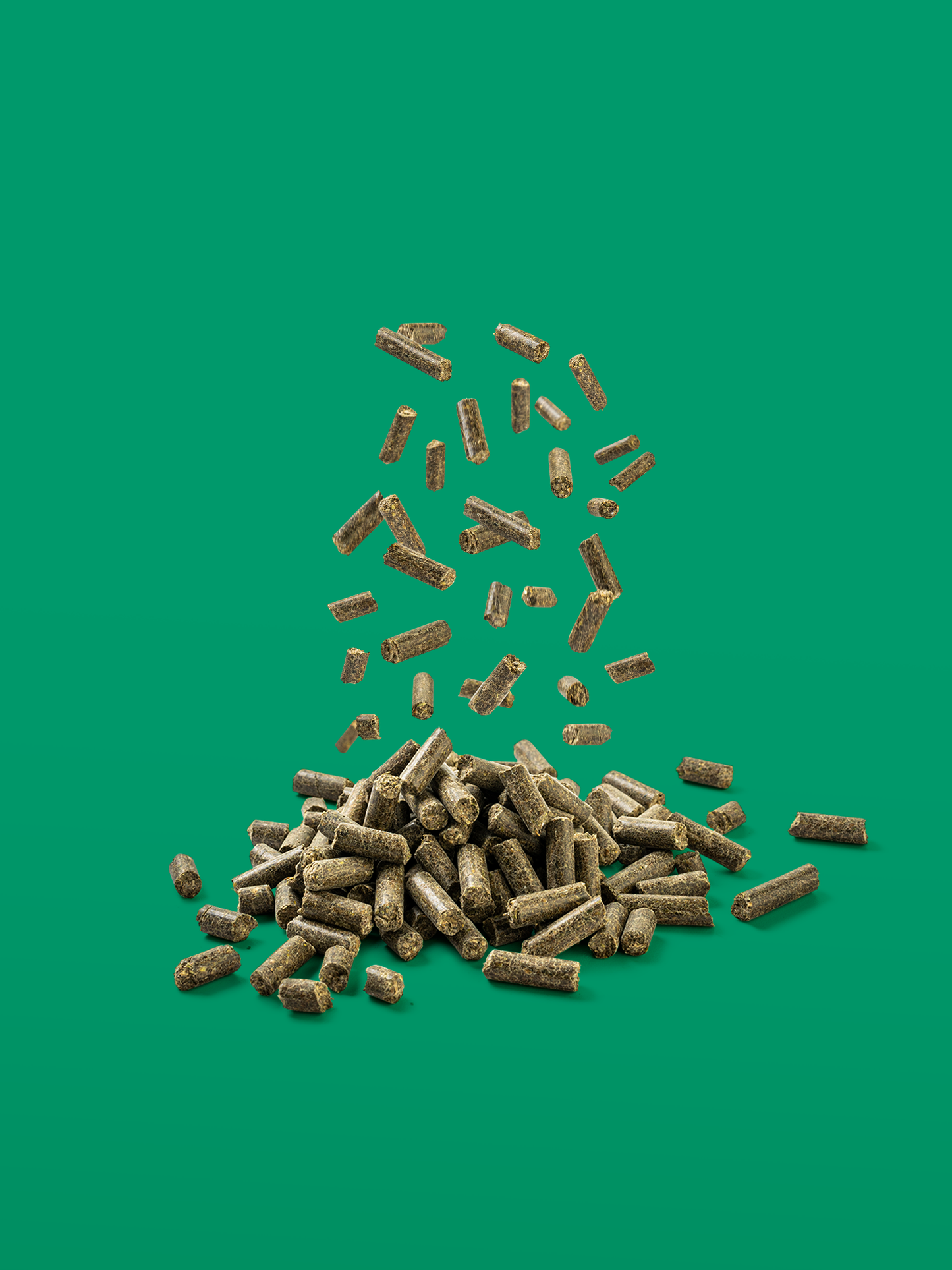 Vitaplus Balancer 10 kg