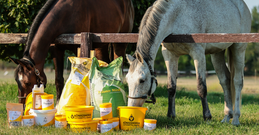 Mennyi takarmányra van szüksége egy lónak naponta? – Etetési útmutató és fontos tudnivalók