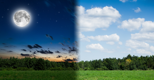 Reggel vagy este? – Mikor érdemes adni a lovak takarmánykiegészítőit?