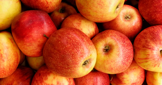 Ehet a ló almát? – Az alma etetése lovaknál, előnyök és kockázatok