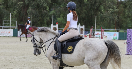 Anabolikus ablak lovaknál – Miért kulcsfontosságú az edzés utáni etetés?