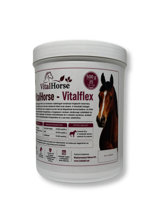 Vitalflex - mozgásszervi támogatás 500 g