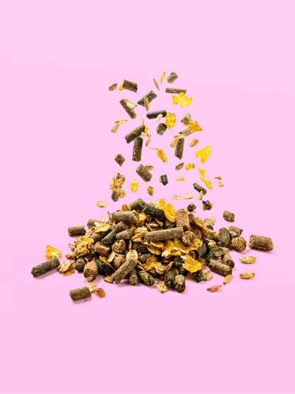 Breeding tenyészkanca müzli 20 kg