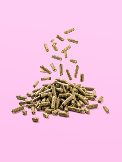 Breeding kancatáp 20 kg