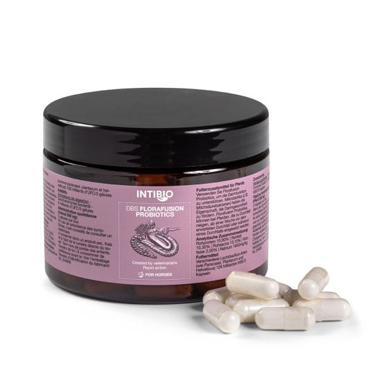 DBS Florafusion Probiotikum 90 db