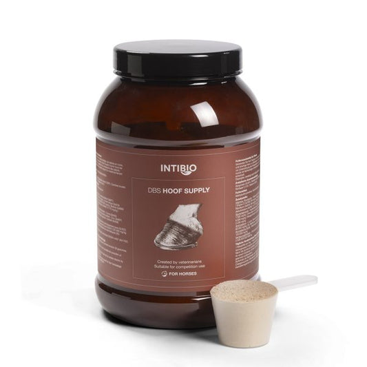 DBS Hoof Supply 1750 g - pataerősítő