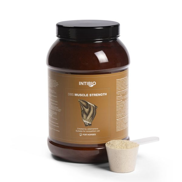 DBS Muscle Strength 1750 g - izomépítő