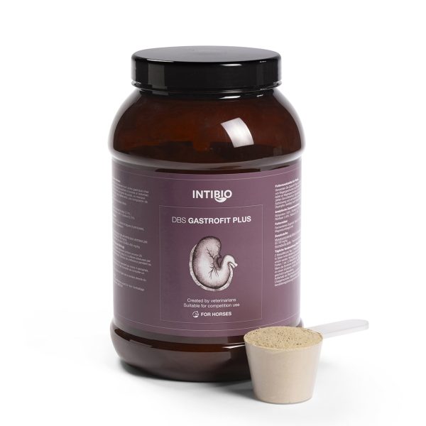 DBS Gastrofit Plus 1250 g - gyomorvédő