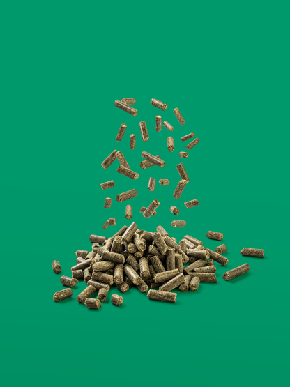 Vitaplus Balancer 10 kg