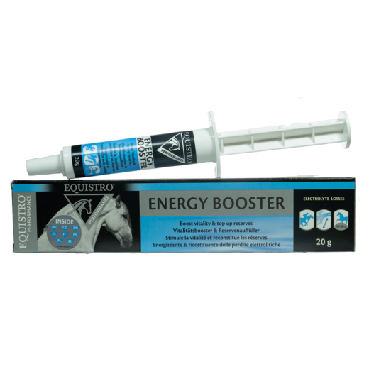 Energy Booster 20 g - gyors energialöket